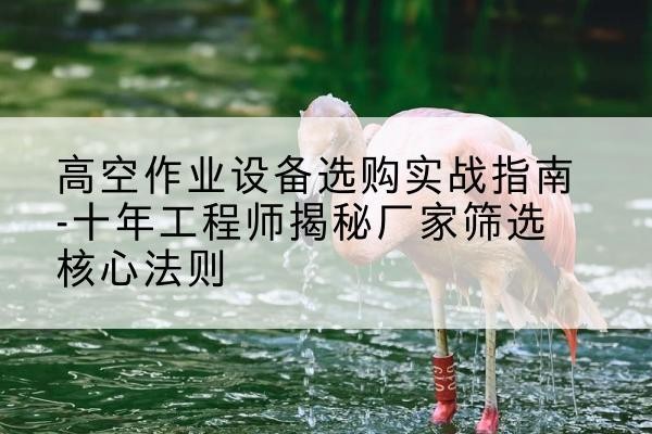 召陵剪叉式升降机厂家-高空作业设备选购实战指南-十年工程师揭秘厂家筛选核心法则