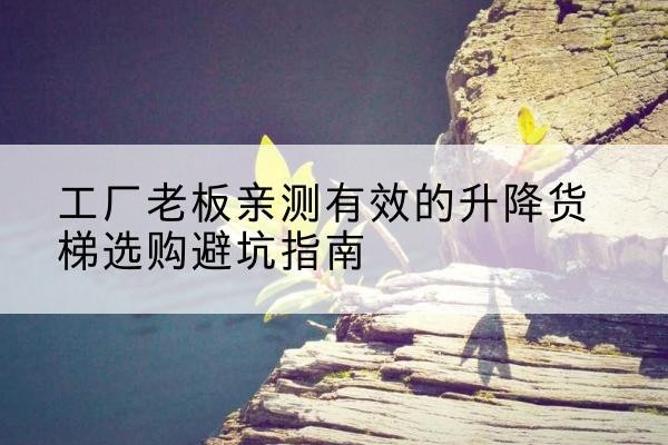 召陵升降货梯怎么选-工厂老板亲测有效的升降货梯选购避坑指南