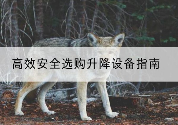 召陵升降货梯厂家推荐-*安全选购升降设备指南