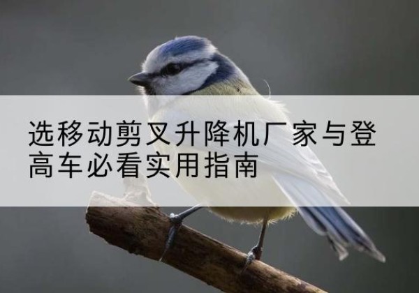 召陵电动升降机厂家-选移动剪叉升降机厂家与登高车必看实用指南