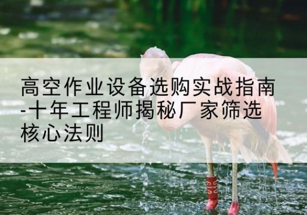 召陵剪叉式升降机厂家-高空作业设备选购实战指南-十年工程师揭秘厂家筛选核心法则