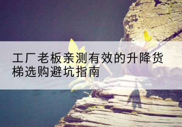 召陵升降货梯怎么选-工厂老板亲测有效的升降货梯选购避坑指南